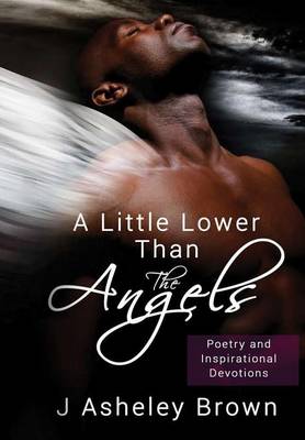 Book cover for A Little Lower Than the Angels