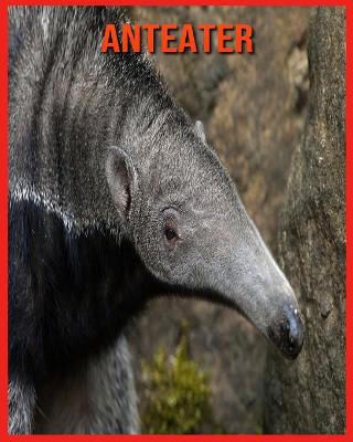 Book cover for Anteater