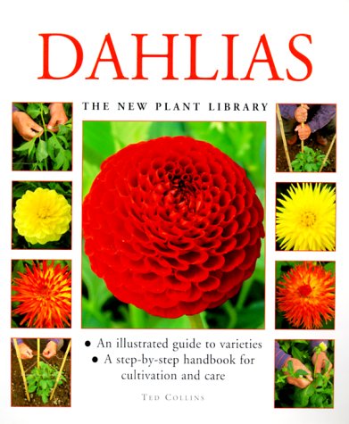 Cover of Dahlias