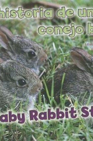 Cover of La Historia de Un Conejo Beb�/A Baby Rabbit Story