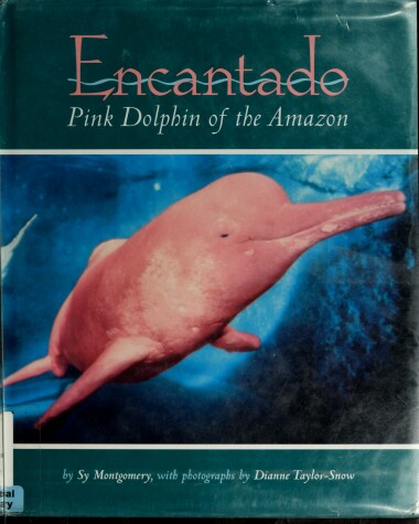 Book cover for Encantado