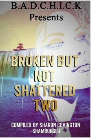 Cover of Broken But Not Shattered Two