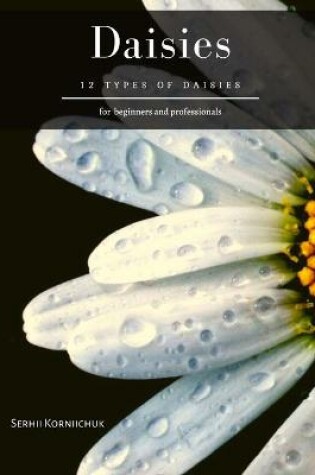 Cover of Daisies