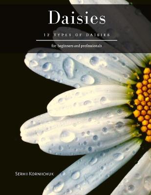 Book cover for Daisies