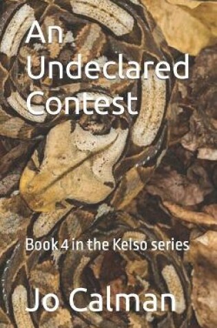 Cover of An Undeclared Contest