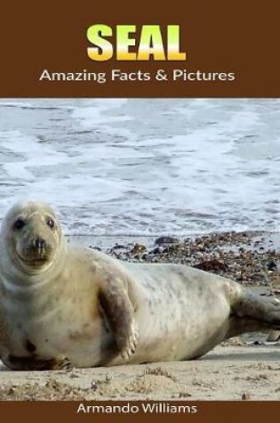 Cover of Seal