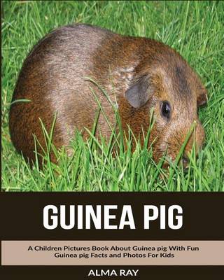 Book cover for Guinea pig