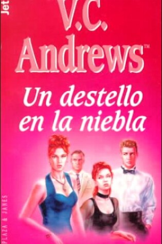 Cover of Un Destello En La Niebla