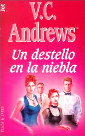 Book cover for Un Destello En La Niebla