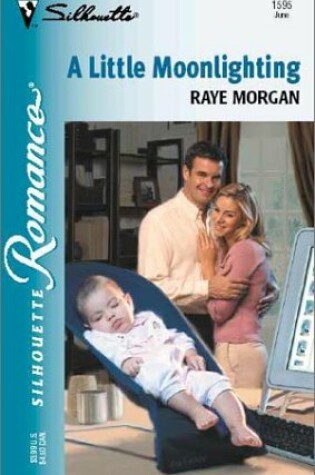 Cover of A Little Moonlighting