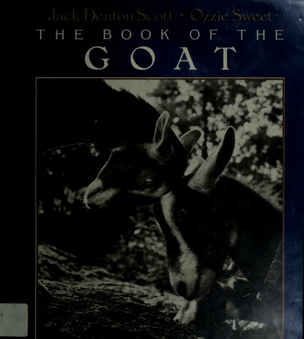 Book cover for The Book of the Goat