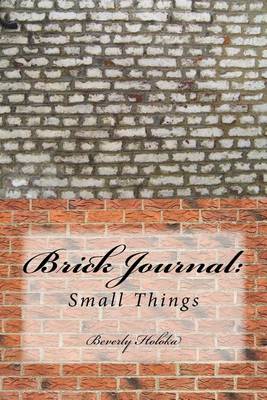 Book cover for Brick Journal