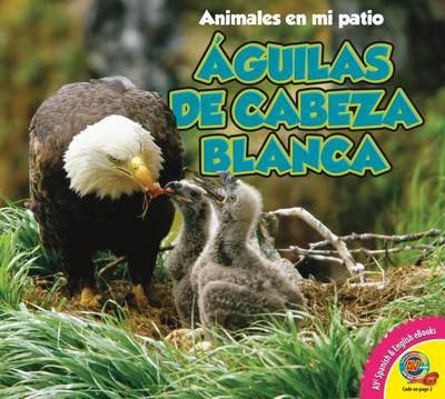 Book cover for Aguilas de Cabeza Blanca