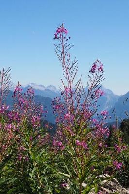 Book cover for Fireweed Flowers in a Mountain Meadow Journal