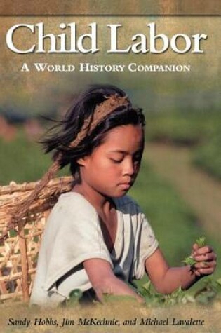 Cover of Child Labor: A World History Companion