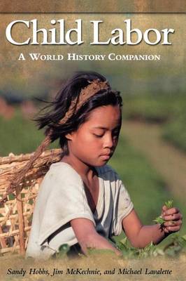 Book cover for Child Labor: A World History Companion