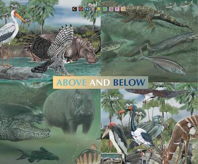 Cover of Animals Above and Below Water