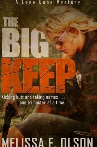 Cover of The Big Keep