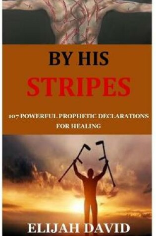 Cover of By His Stripes