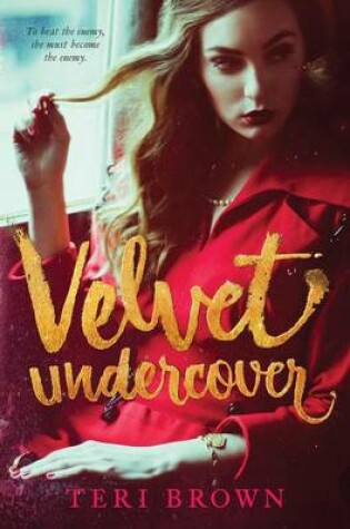 Cover of Velvet Undercover