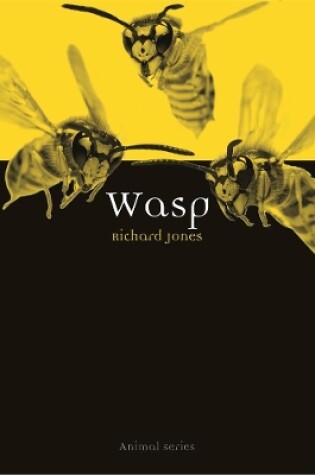 Cover of Wasp