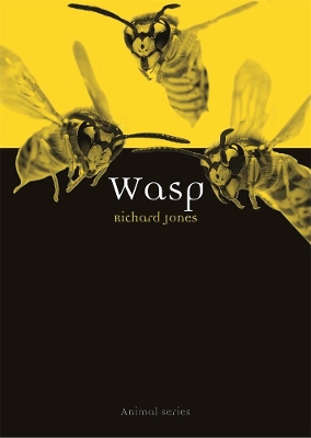 Cover of Wasp