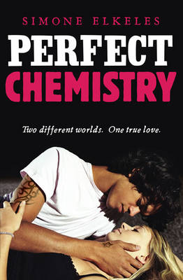 Book cover for Perfect Chemistry