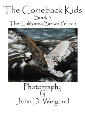 Book cover for The Comeback Kids, Book 3, the California Brown Pelican