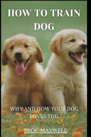 Cover of How to Train Dog
