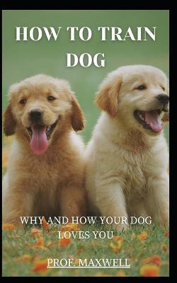 Book cover for How to Train Dog