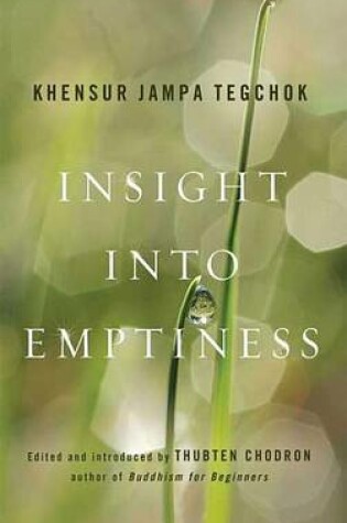 Cover of Insight into Emptiness