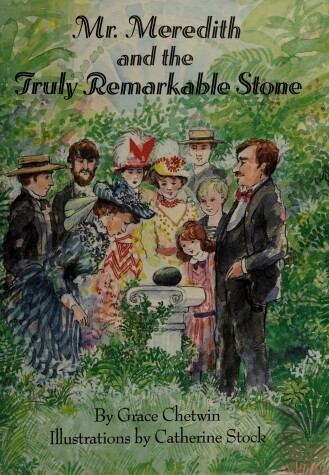 Book cover for Mr. Meredith and the Truly Remarkable Stone