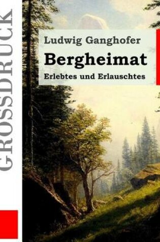 Cover of Bergheimat (Grossdruck)