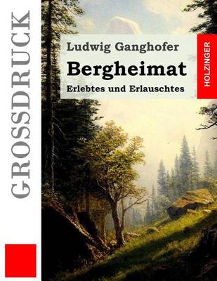 Book cover for Bergheimat (Grossdruck)