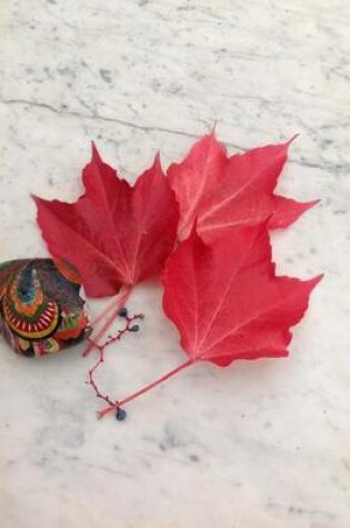 Cover of Still Life with Scarlet Leaves and a Painted Rock Journal