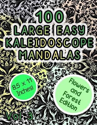 Book cover for 100 Large Easy Kaleidoscope Mandalas Vol 3