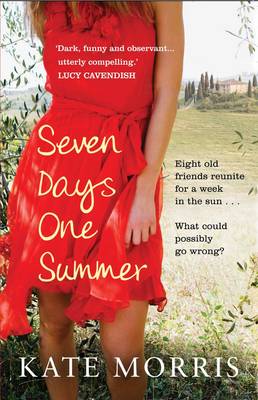 Book cover for Seven Days One Summer