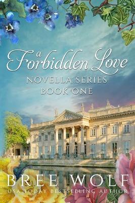 Book cover for A Forbidden Love Novella Series