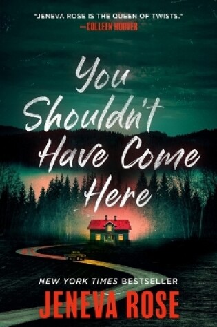 Cover of You Shouldn't Have Come Here