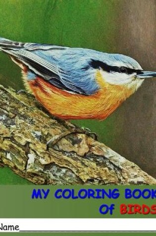 Cover of My Coloring Book of Birds