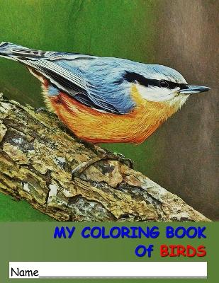 Cover of My Coloring Book of Birds