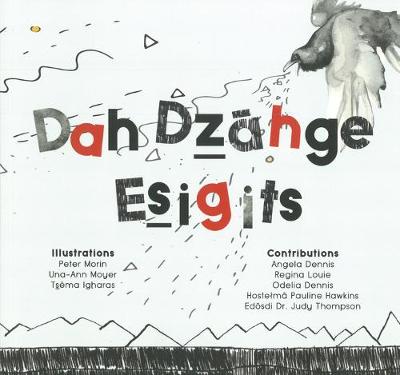 Book cover for Dah Dzāhge Esigits