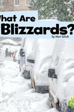 Cover of What are Blizzards? (Wicked Weather)