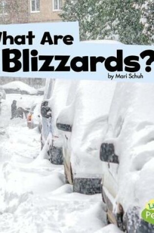 Cover of Wicked Weather What are Blizzards?