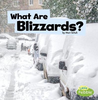 Book cover for What are Blizzards? (Wicked Weather)