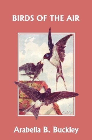 Cover of Birds of the Air (Yesterday's Classics)