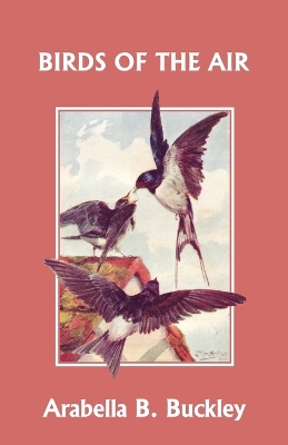 Book cover for Birds of the Air (Yesterday's Classics)