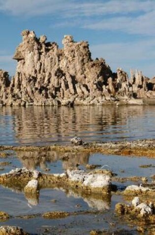 Cover of Mono Lake in California, for the Love of California