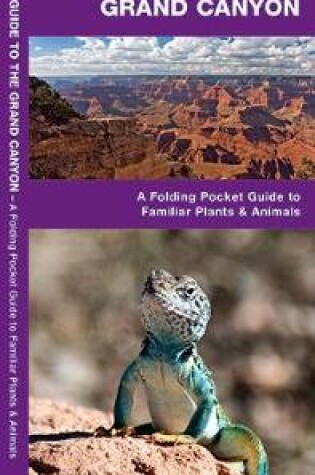 Cover of Grand Canyon, Field Guide to the