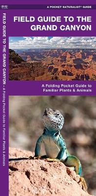 Book cover for Grand Canyon, Field Guide to the
